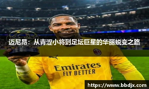 美嘉