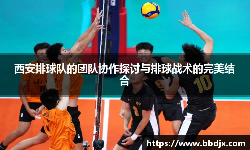 美嘉体育